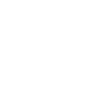 White rise logo